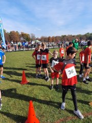 Bild-20211021-091336-cf45f6de-min.jpeg